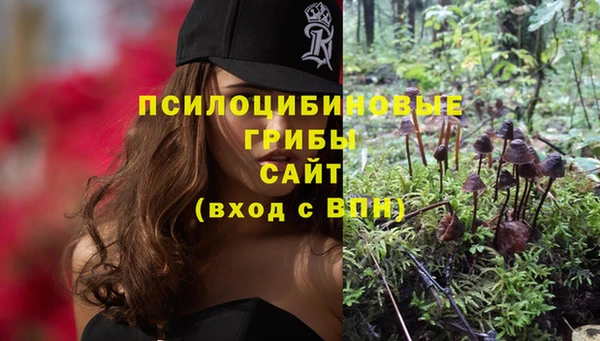 прущие крисы Красноперекопск