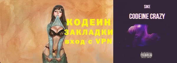 стаф Балахна