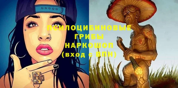 стаф Балахна