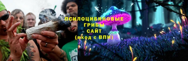 стаф Балахна