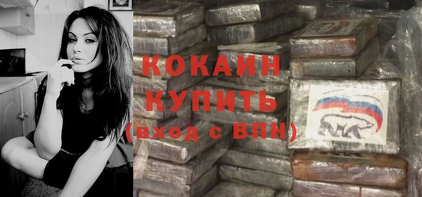 стаф Балахна