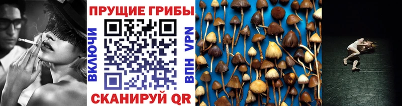 Галлюциногенные грибы Magic Shrooms МЕГА онион Верхотурье
